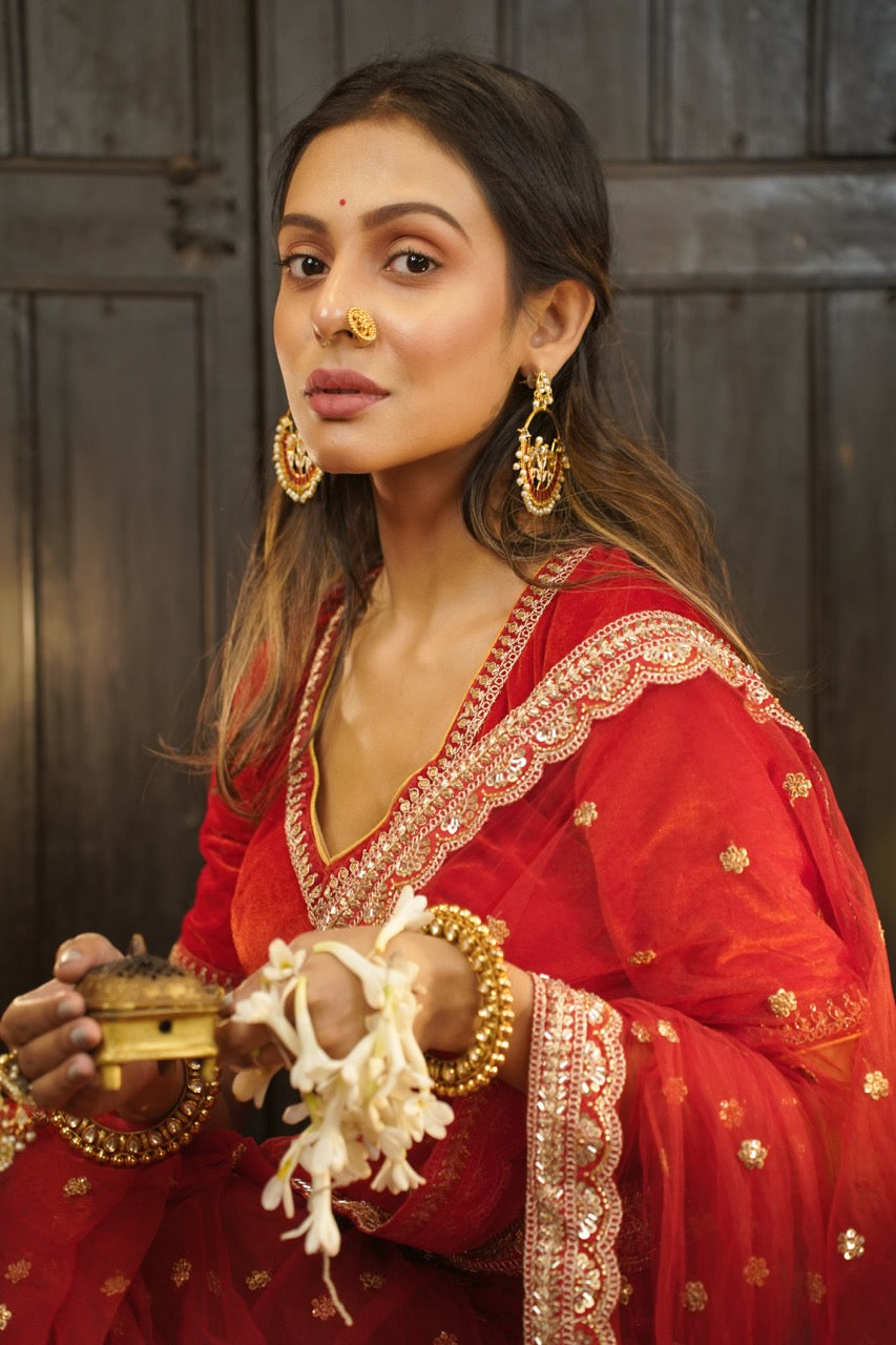 Amor: Red Softnet Saree | Red Brocade Blouse