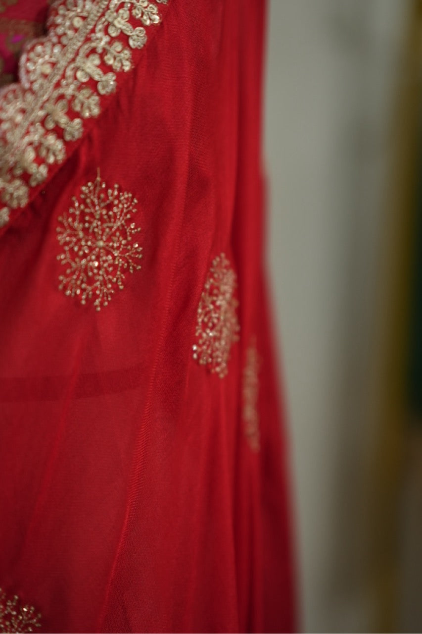 Blooming Love: Red Uppada Designer Saree with multicolour brocade blouse