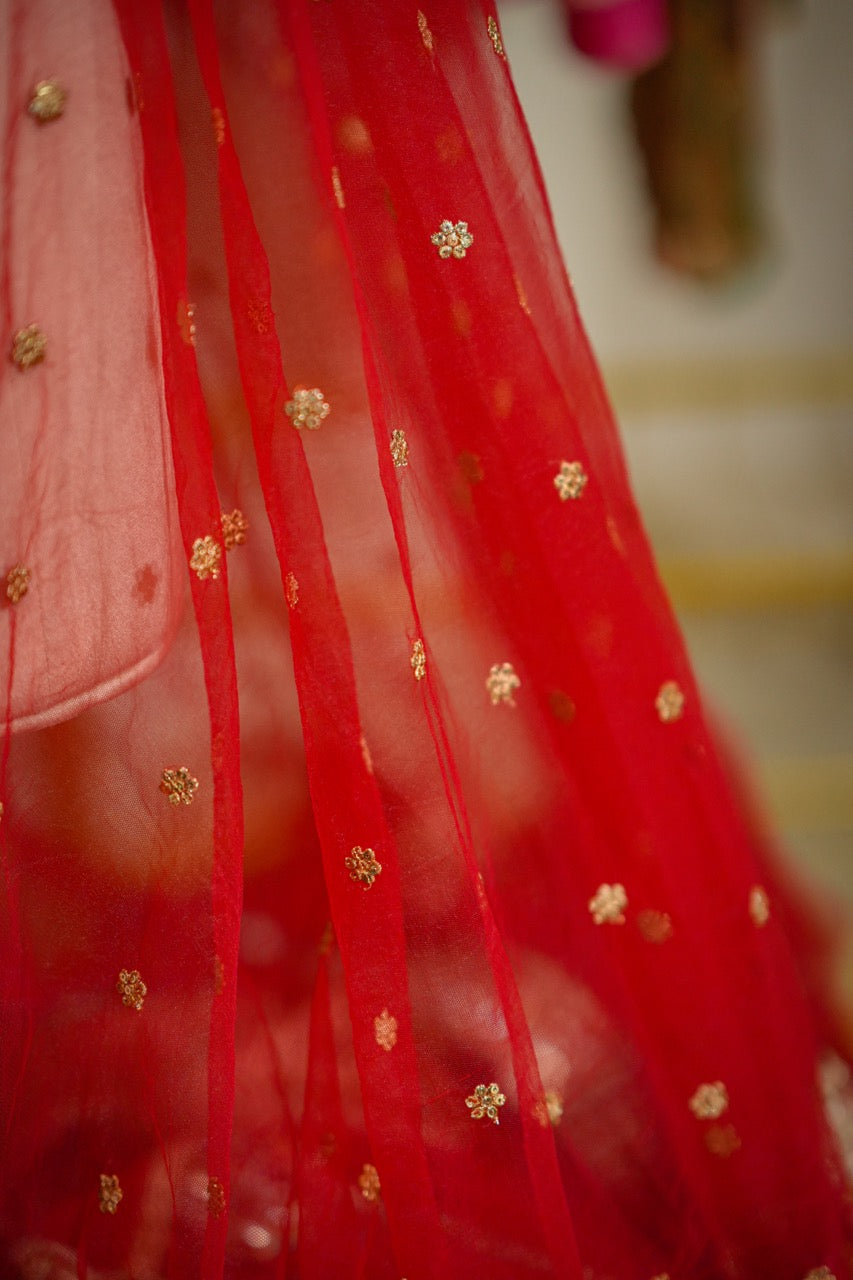 Amor: Red Softnet Saree | Red Brocade Blouse