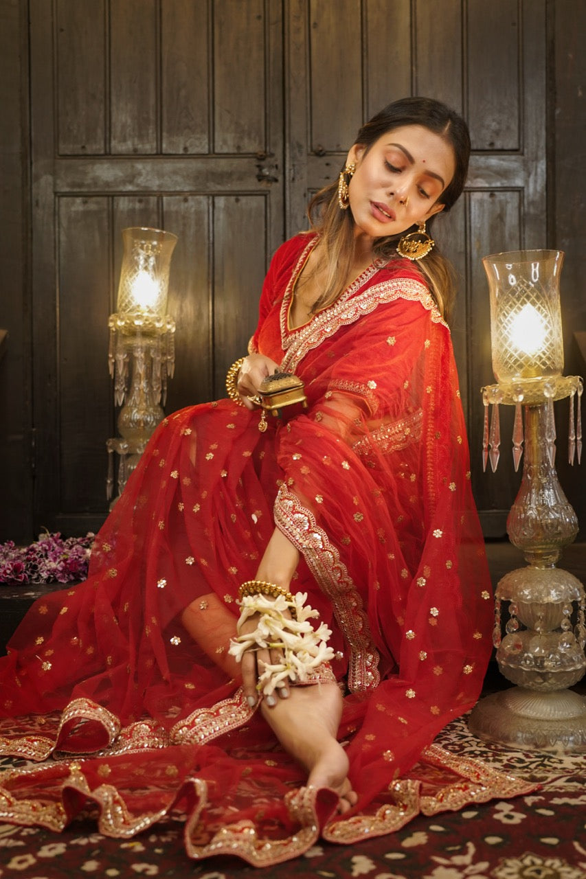 Amor: Red Softnet Saree | Red Brocade Blouse