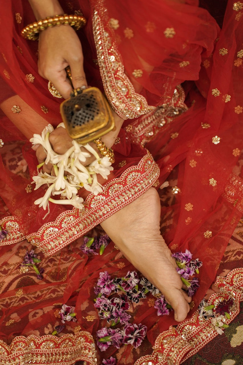 Amor: Red Softnet Saree | Red Brocade Blouse