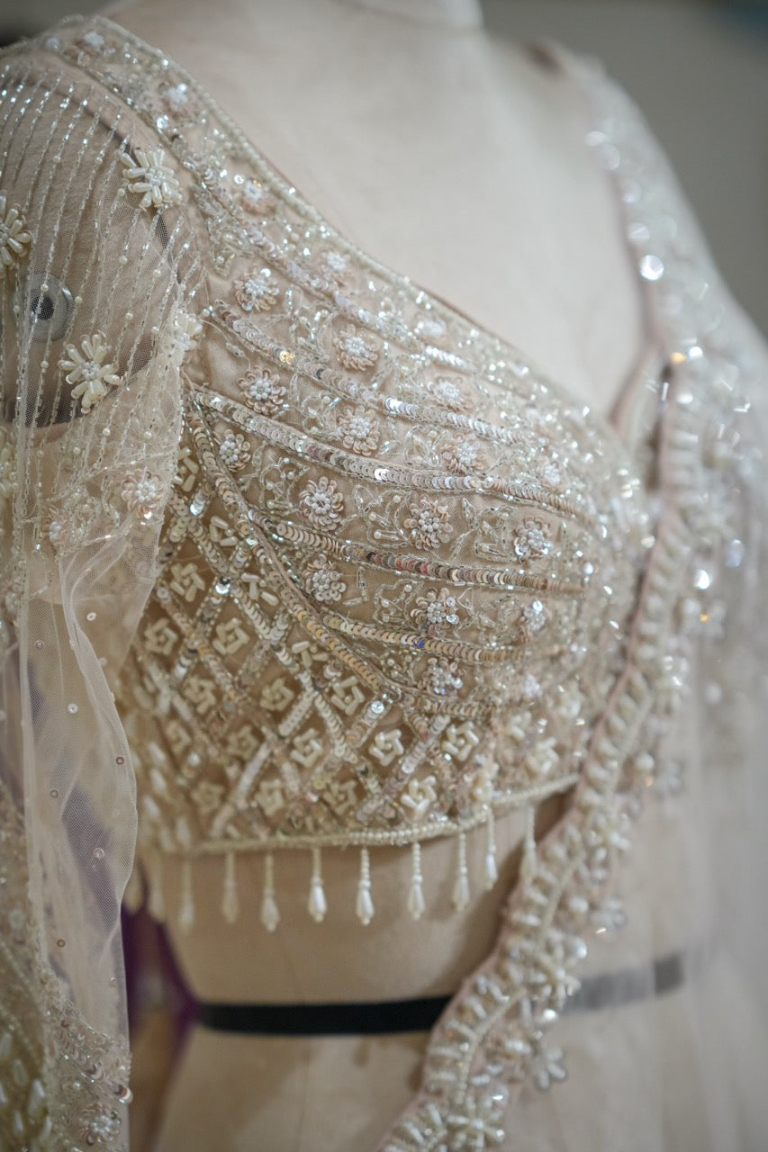 Swan: White Organza Saree with Handwork on Saree and Blouse