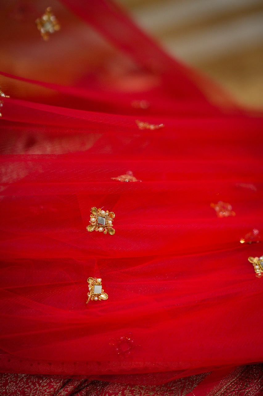 Salvias: Red SoftNet Saree with Handwork and Red Brocade Blouse