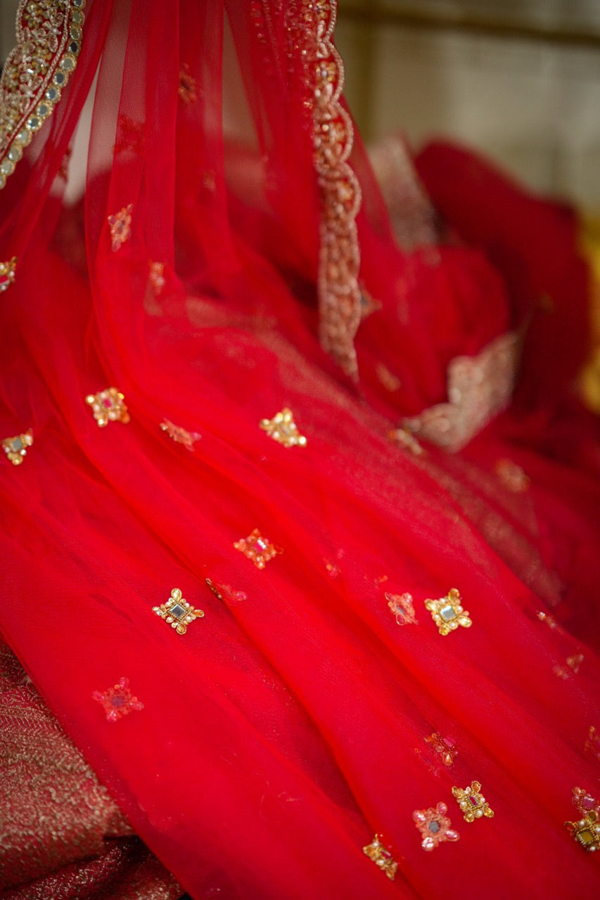 Salvias: Red SoftNet Saree with Handwork and Red Brocade Blouse